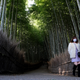 Arashiyama is one of Kyoto's most popular spots.
